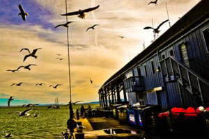 稳定运行可靠的短信验证码轰炸