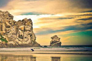 发手机号软件app